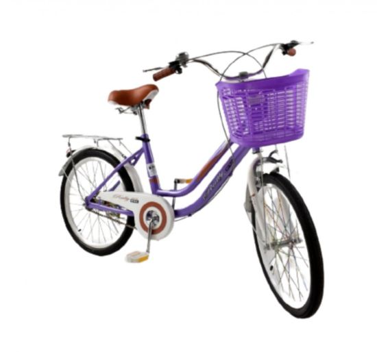 صورة دراجة مقاس 20